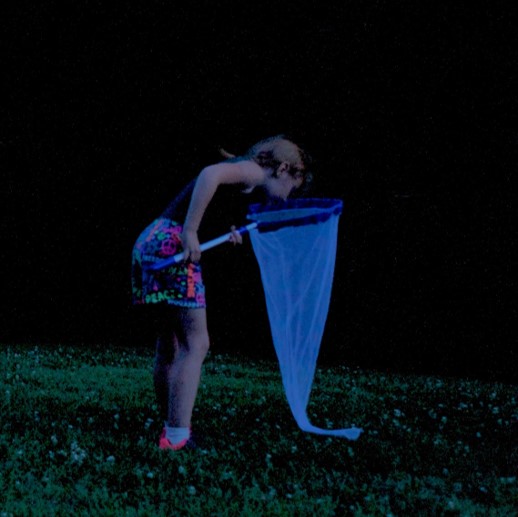 Girl looking for fireflies in a net