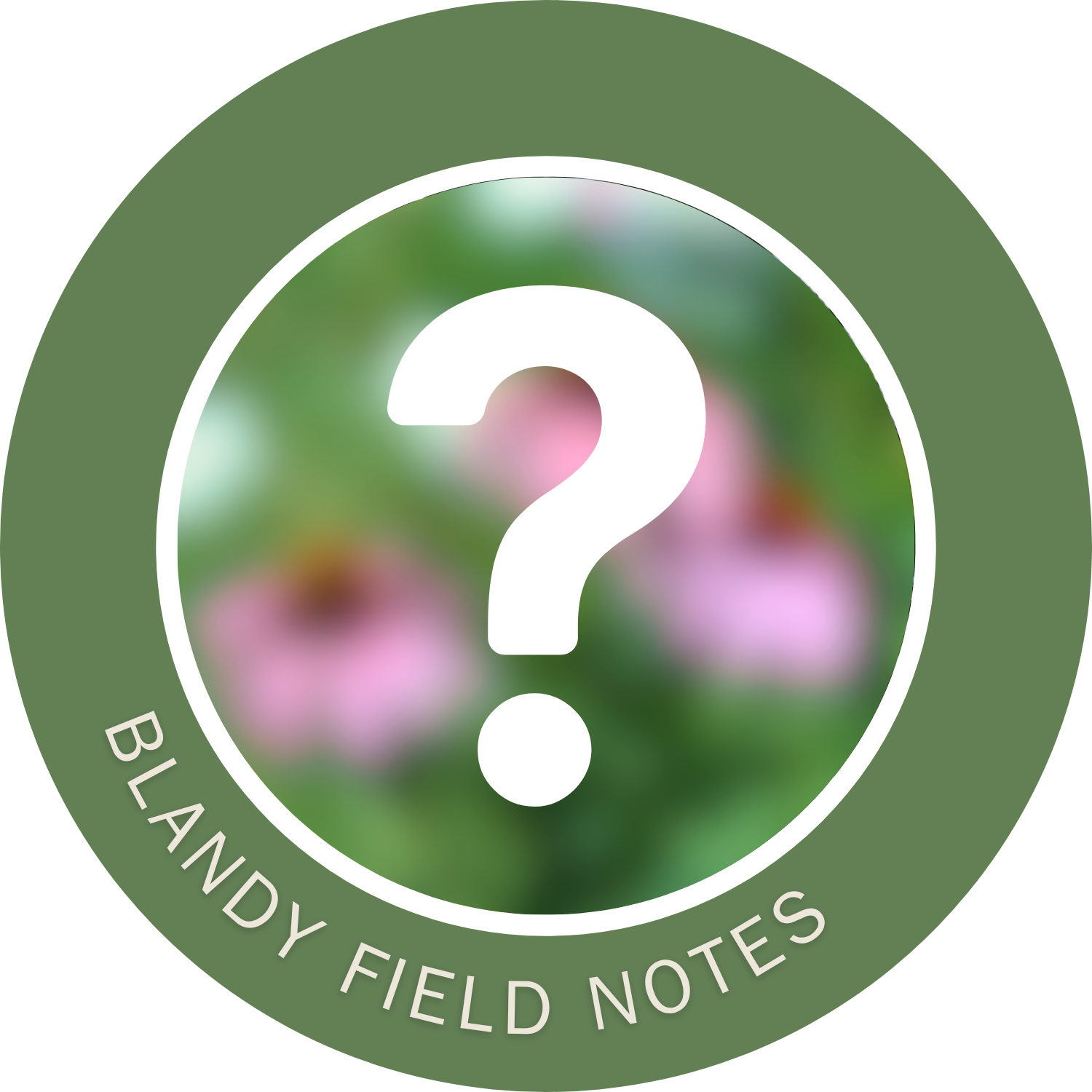 Blandy field notes with question mark