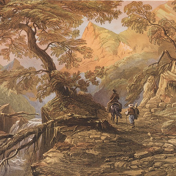 Illustraion of travelers