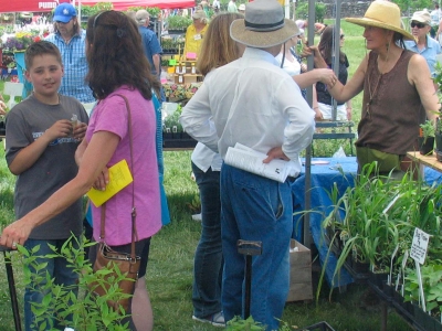 BotanicalsPlants-2019-9028-HEADER.jpg