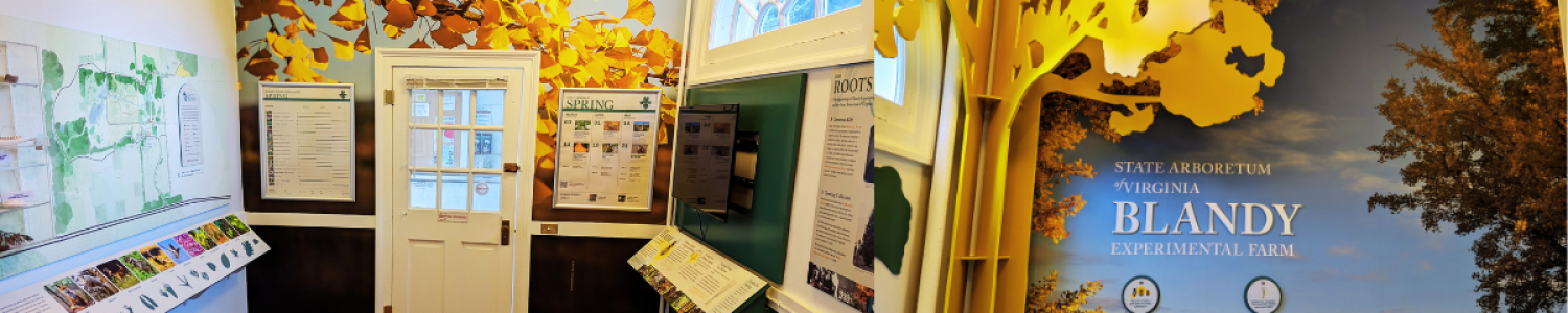 New Information Center