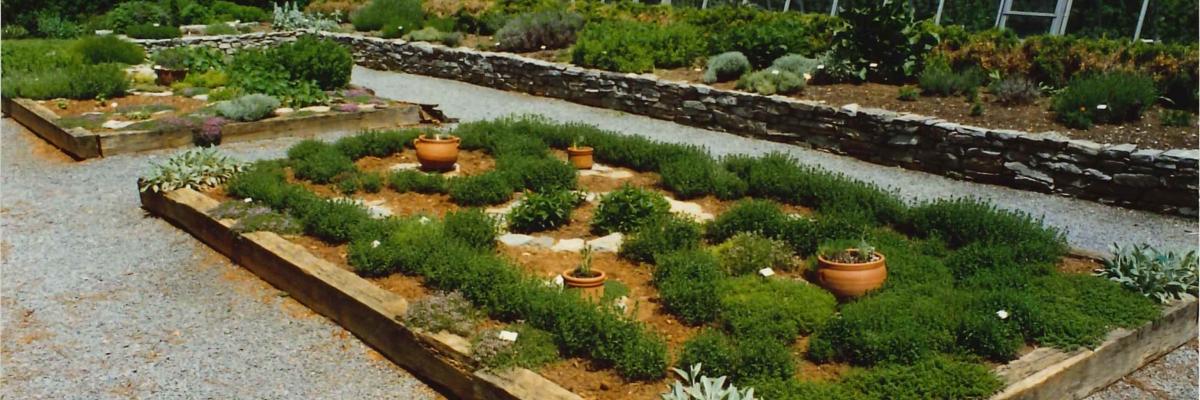 Herb_Garden_1989