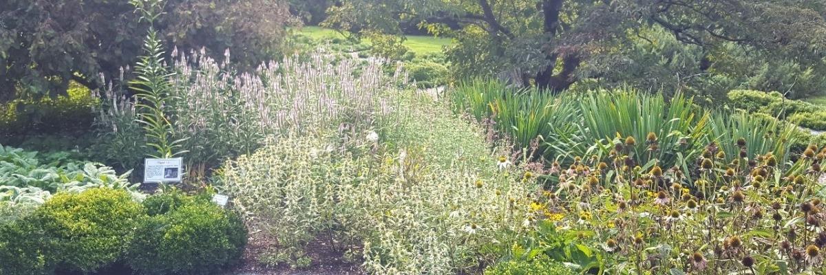 zoo garden