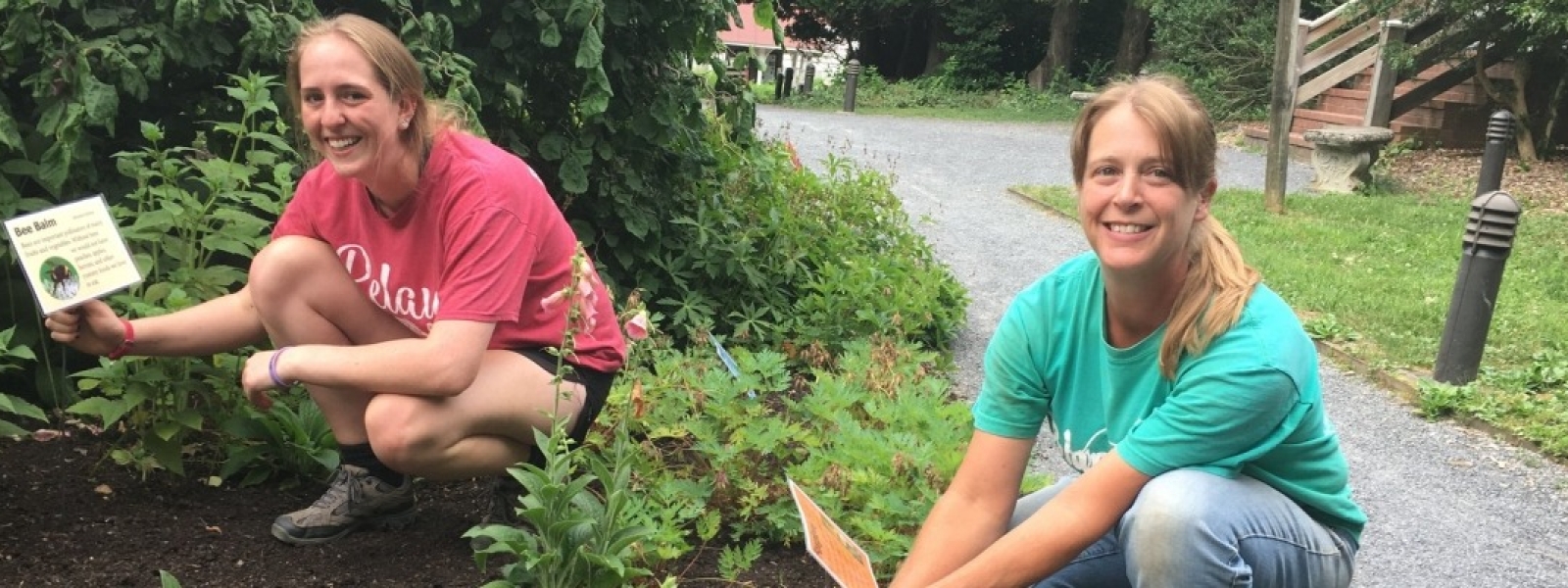 Garden work.jpg