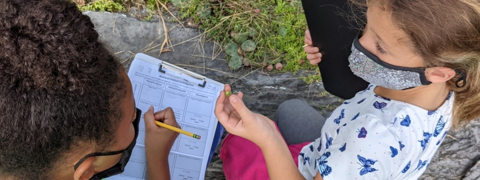 Students examine a wetland for organisms and study their adaptations