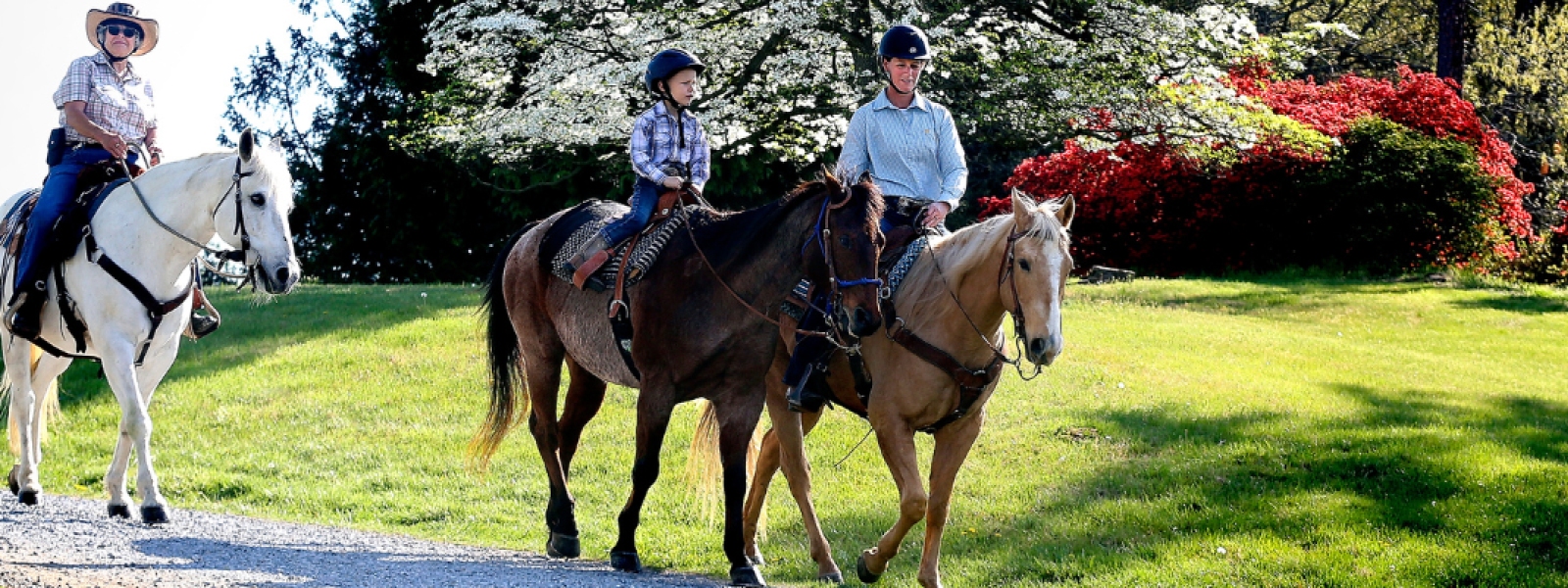 Bridle Trail: Bring Your Horse and See the Arboretum on Horseback