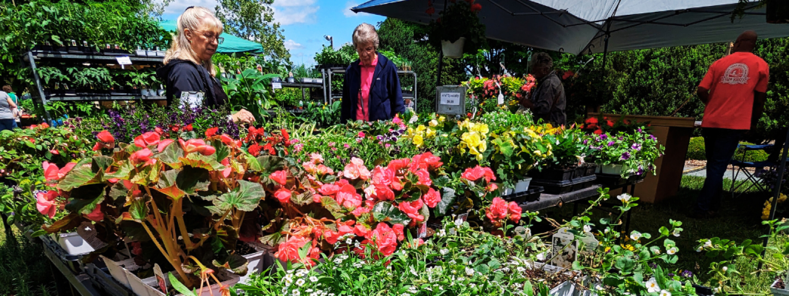 Garden Fair 2024 at Blandy