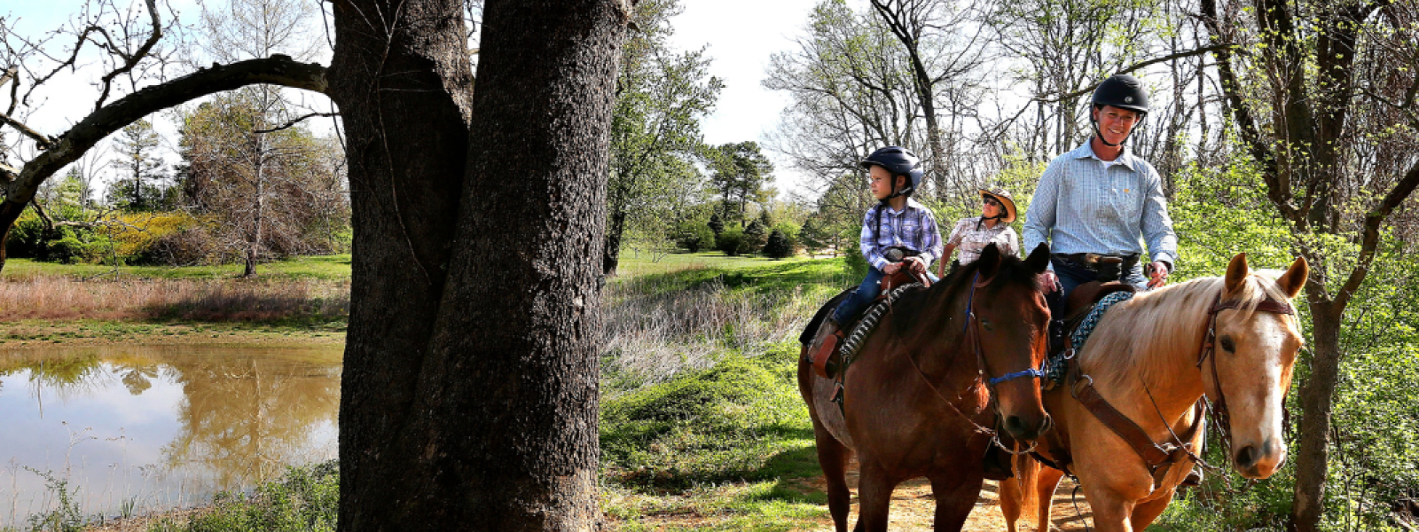 Bridle Trail: Bring Your Horse and See the Arboretum on Horseback