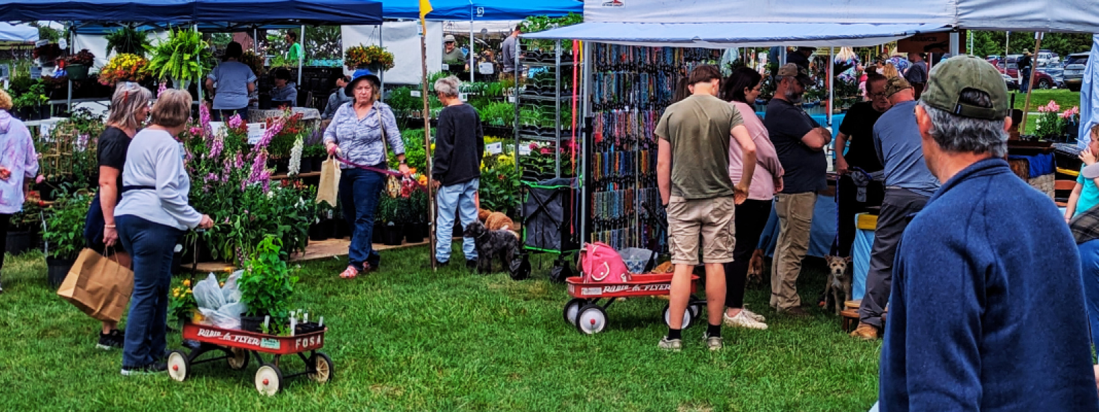 Garden Fair 2024 at Blandy