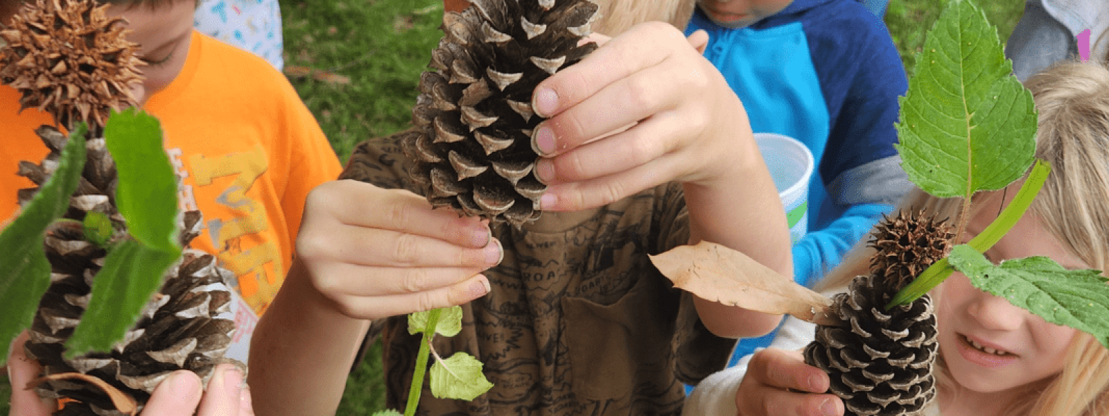 Local School Kids Love Outdoor Education at Blandy
