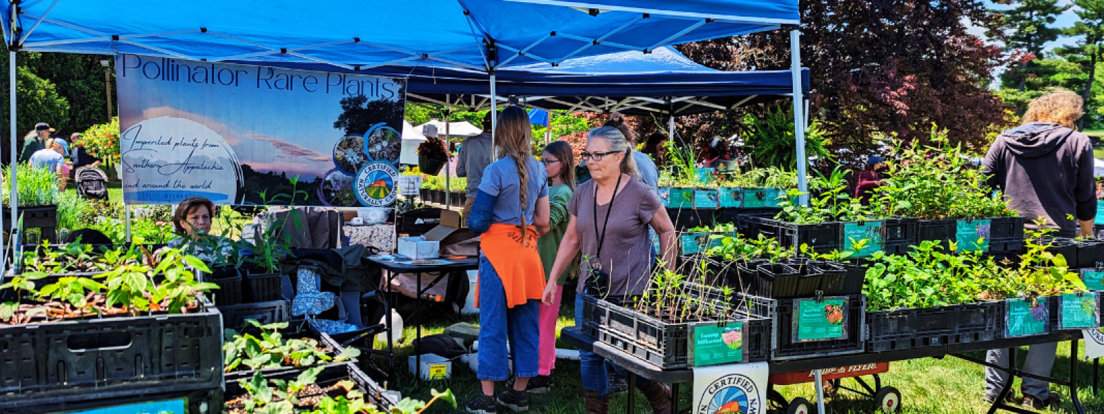 Garden Fair 2024 at Blandy