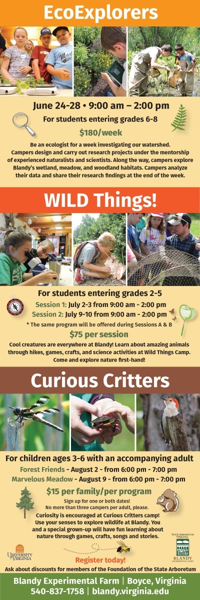 Blandy 2024 Summer Camp