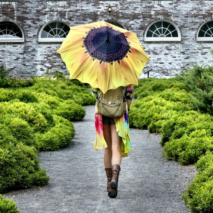 Sunflower umbrella