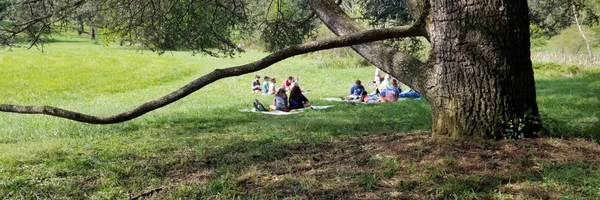 Students contemplate the movement of water while sitting under s shady conifer tree at a wetland.