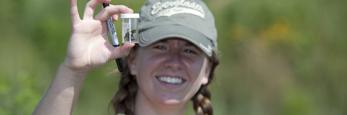 REU student examines a bumble bee inside a plastic vial