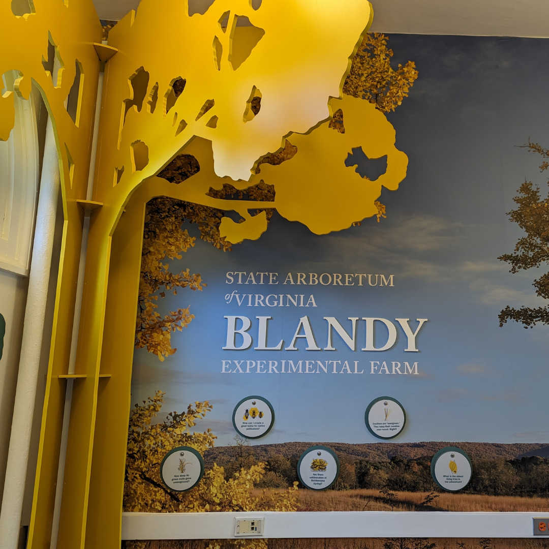 New Information Center Opens for Blandy Visitors 