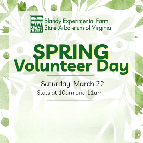 Spring Volunteer Day