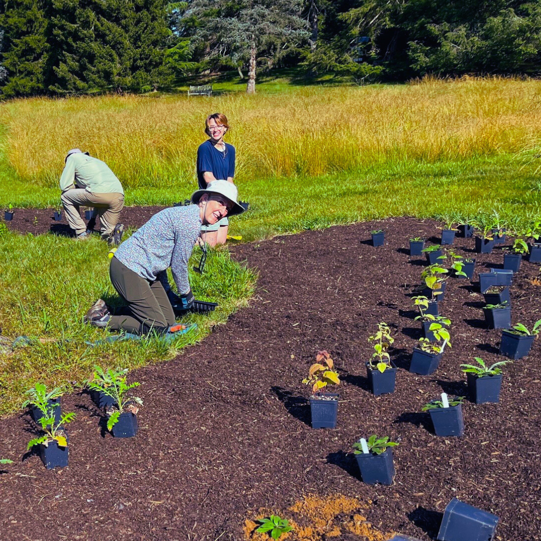 Locally Sourced Plants