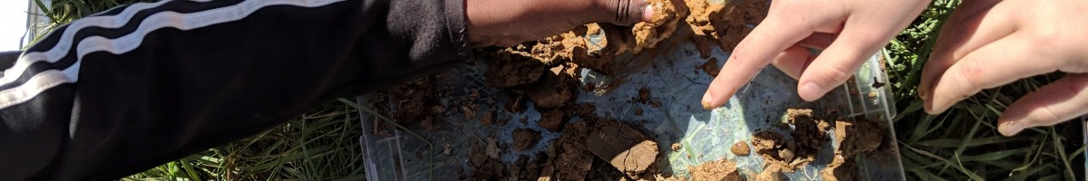 Scoop on Soils' Students examine soil texture