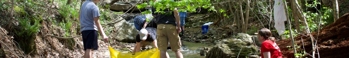 High school students use a kick net to collect aquatic organisms in a forest stream