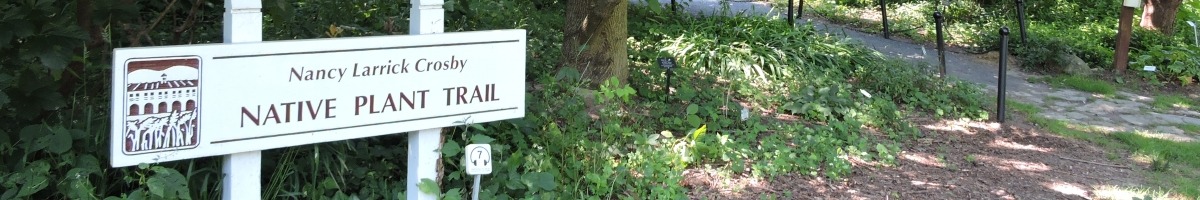 Entrance to Native Plant Trail with trees and Name Sign