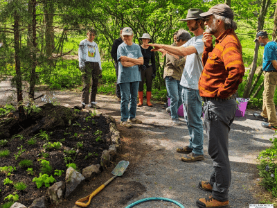 Native Plant Trail