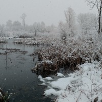 Winter on the Native Plant Trail