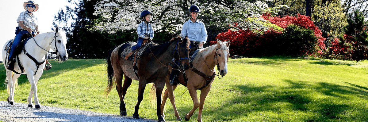 Bridle Trail Blandy