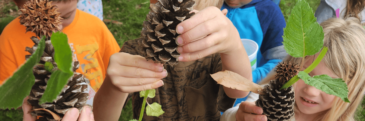 Kindergarten students share the tree treasures collected during our Early Explorers Program