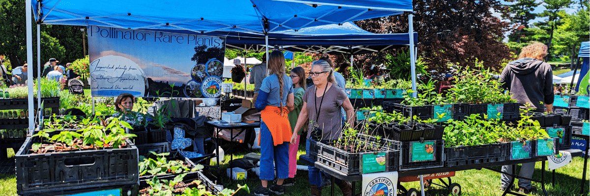 Garden Fair 2024 at Blandy