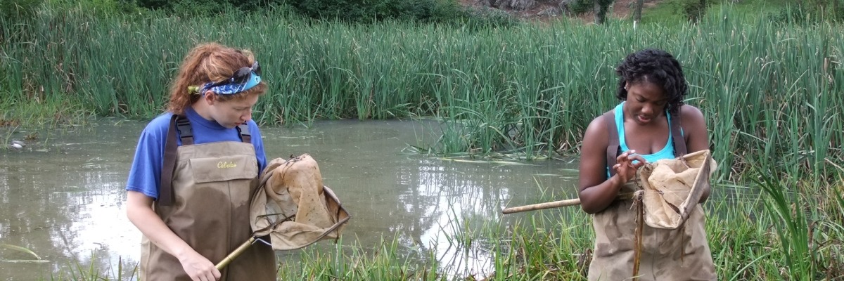 REU students search for aquatic macroinvertebrates