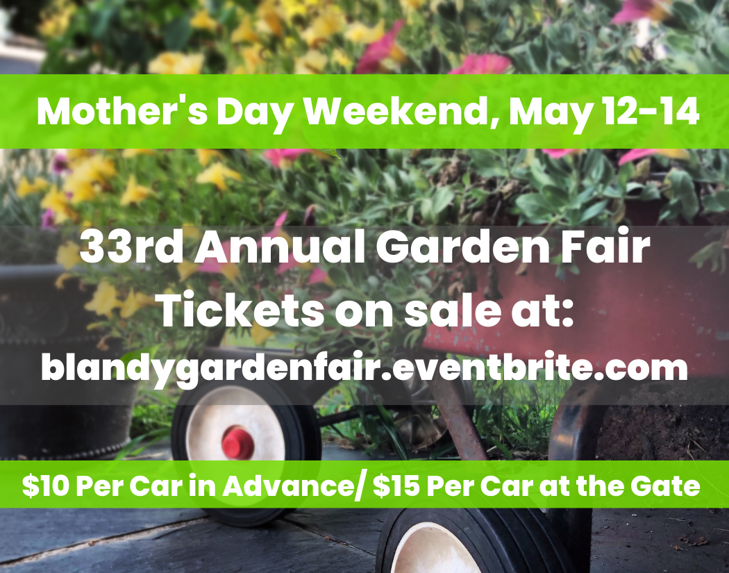 Copy of Copy of Call for GFVendors 2.png