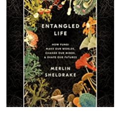 Entangled