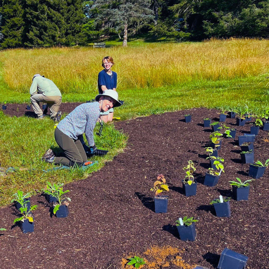 Locally sourced plants