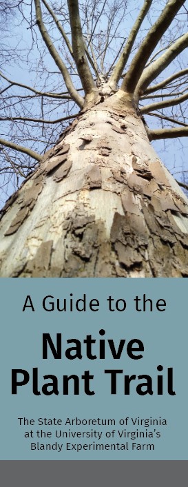 Plant Guide for Winter - Native Plant Trail