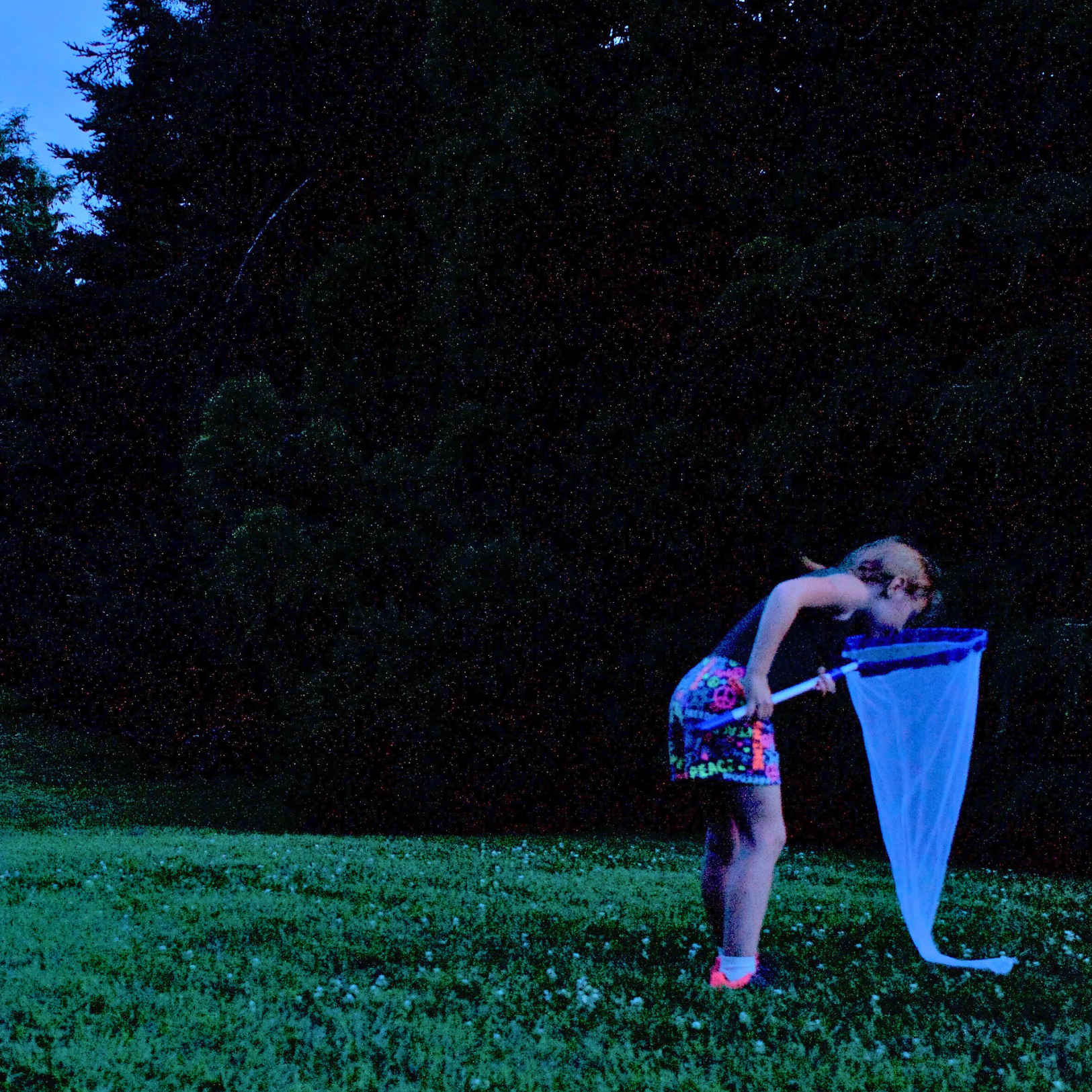 Firefly Festival