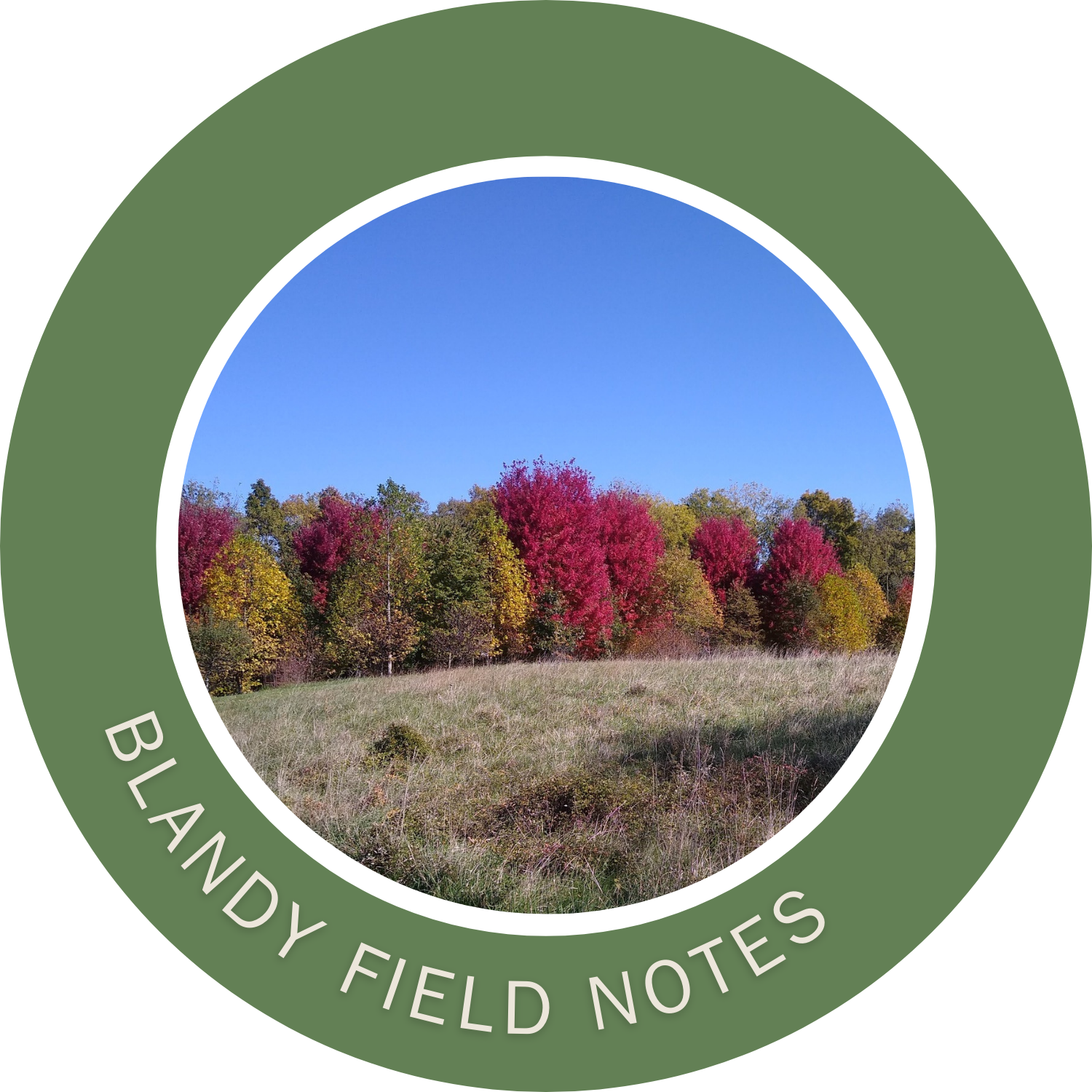 Blandy Field Notes Community Forest