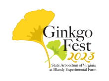 GinkgoFest Poster