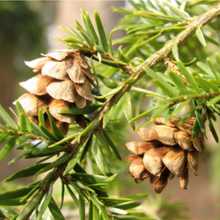 Check Out Our Winter Programs at Blandy
