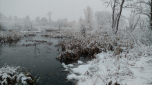 Winter On the Native Plant Trail