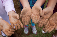 Helping hands grow community forest.