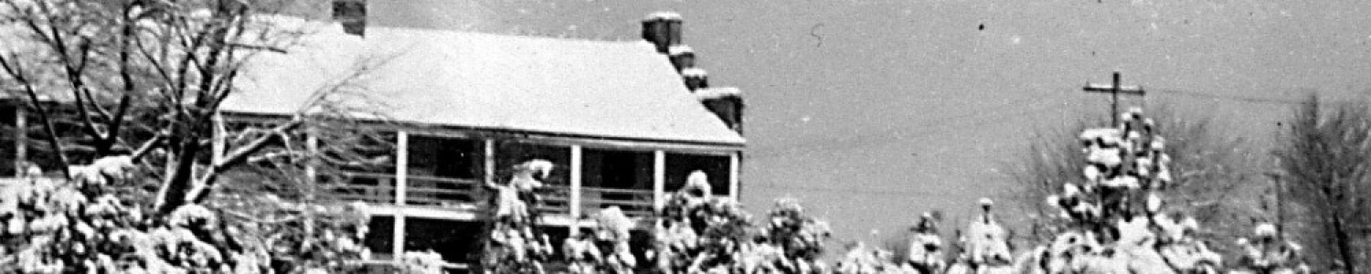 History - Old Snow Banner.jpg