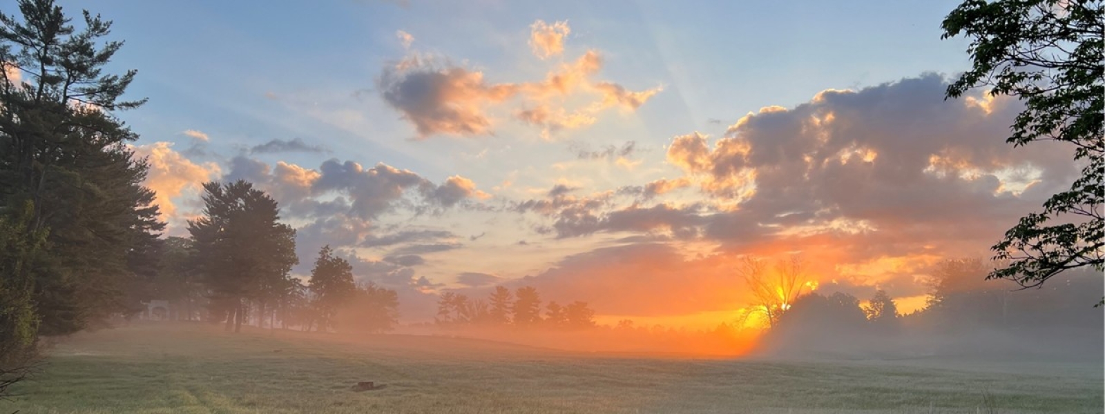 sunrise over an open field surrounded by conifers